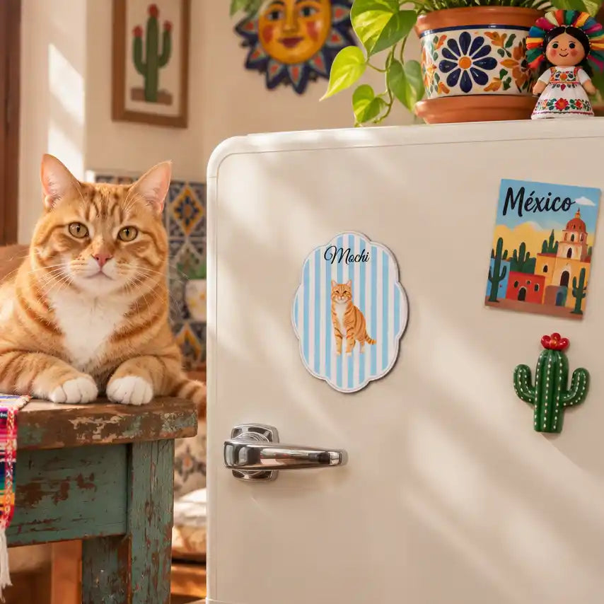 Tus momentos favoritos con foto y nombre sobre un diseño a rayas – Imán personalizado para refrigerador